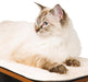 Catit Vesper High Base Black Cat Home with Twin Platform