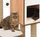 Catit Vesper High Base Walnut Cat Home with Twin Platform