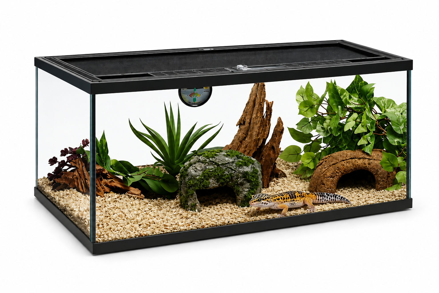 Deluxe Reptile Terrarium 50cm x 30cm x 30cm
