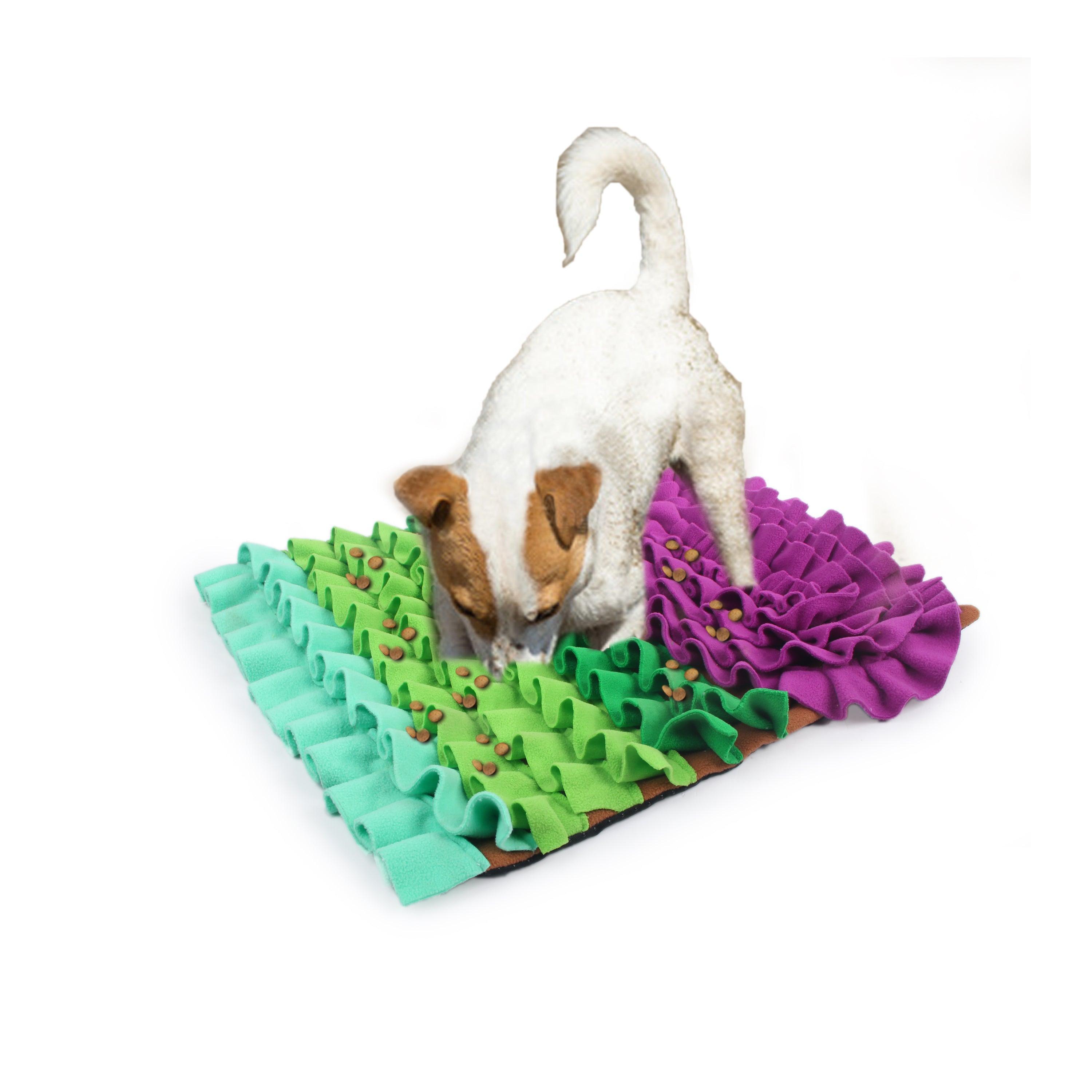 Dig It Dog Play & Treat Mat