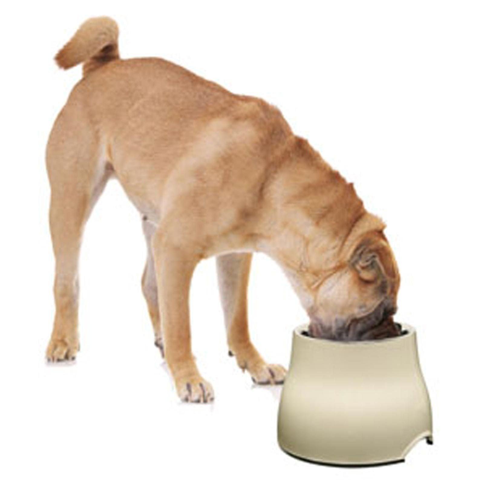 Dogit 2 in 1 Elevated Dog Feeding Bowl Large Black