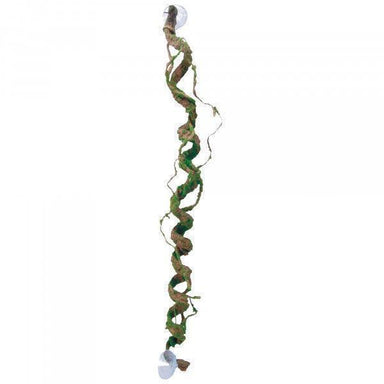 Eco Tech Corkscrew Vine 43cm