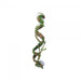 Eco Tech Corkscrew Vine with Moss 40cm