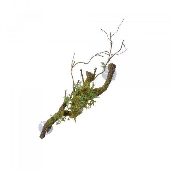 Eco Tech Large Vine Cluster Moss Lichen 50cm