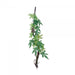 Eco Tech Vine Abutilon Growth 68cm