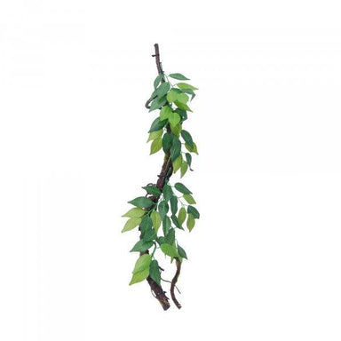 Eco Tech Vine with Moss Ficus Growth 70cm