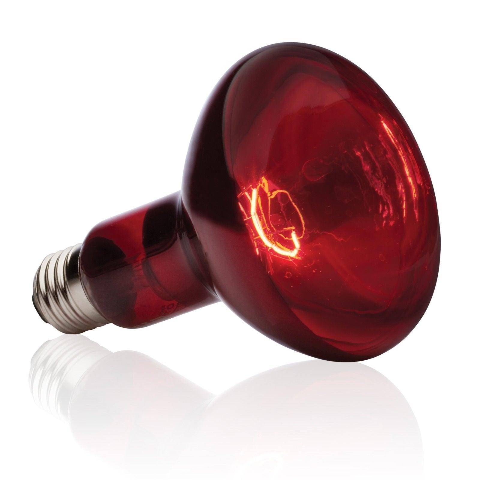 Exo Terra 100w Infrared Heat Lamp
