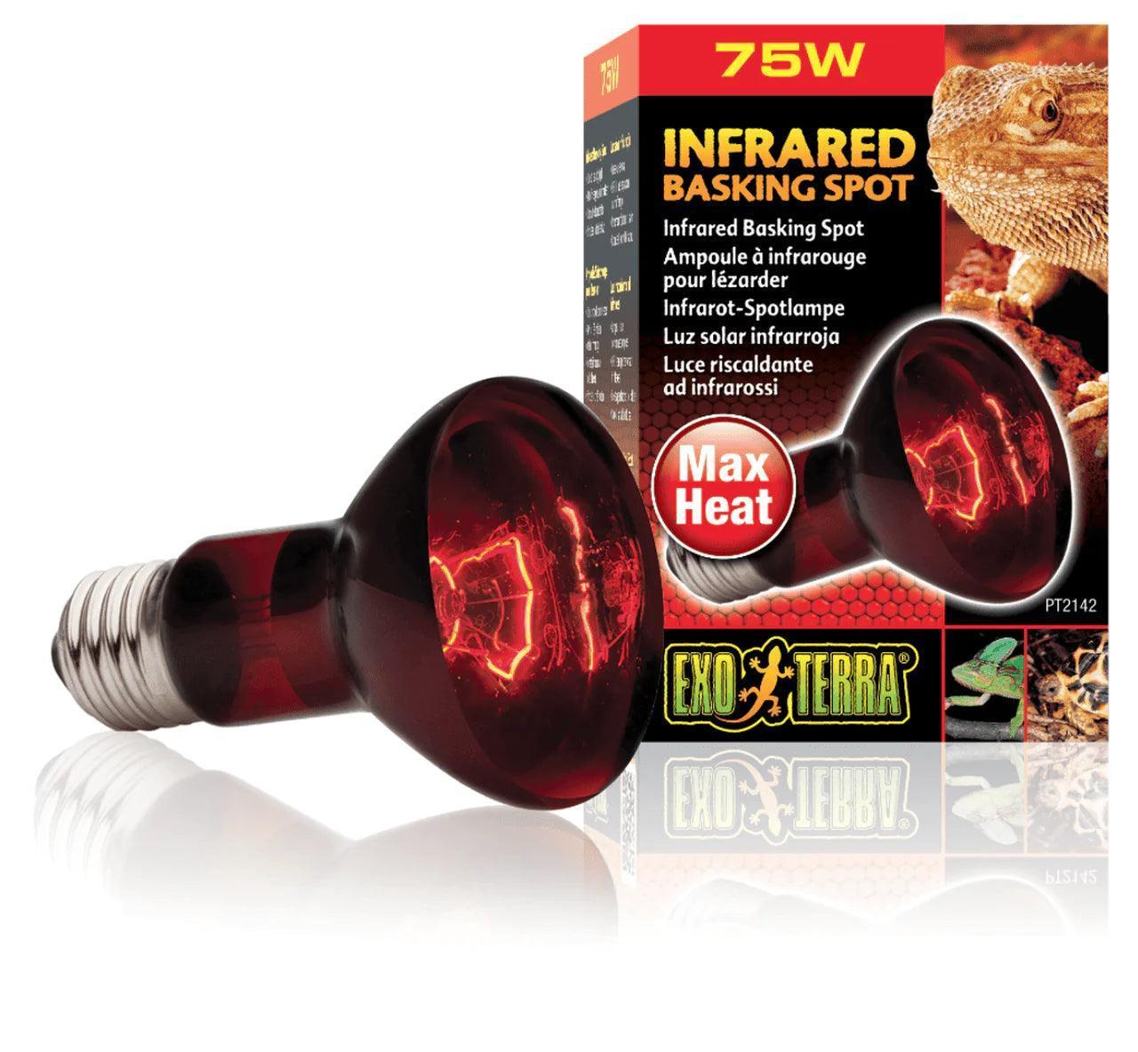 Exo Terra 75w Infrared Heat Lamp