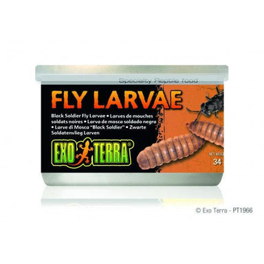 Exo Terra Black Solder Fly Larvae Bulk (12)