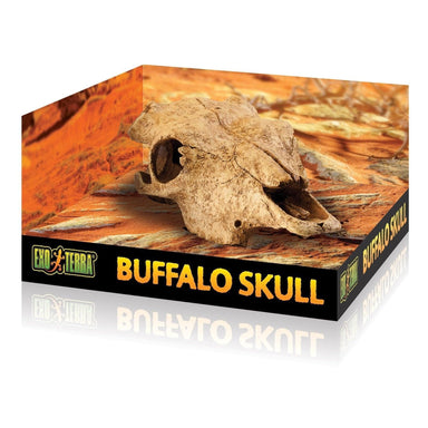 Exo Terra Buffalo Skull