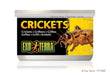 Exo Terra Canned Crickets Bulk (12)