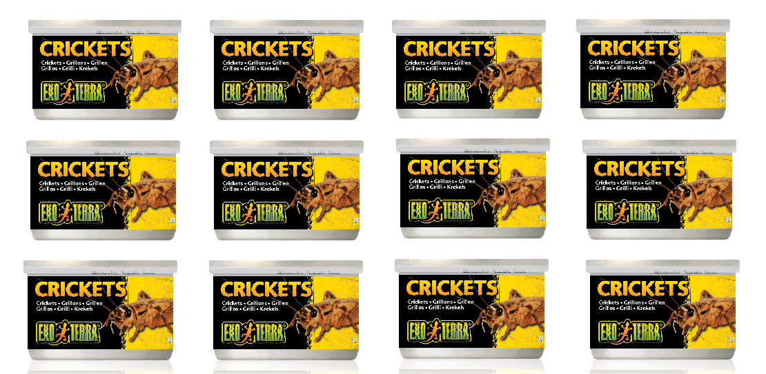 Exo Terra Canned Crickets Bulk (12)