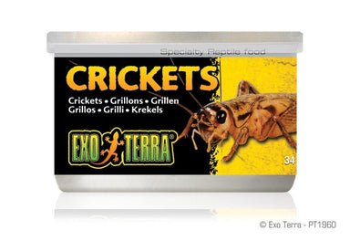 Exo Terra Canned Crickets XL Bulk (12)