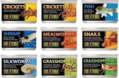 Exo Terra Canned Crickets XL Bulk (12)