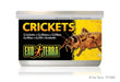 Exo Terra Canned Crickets XL Bulk (12)