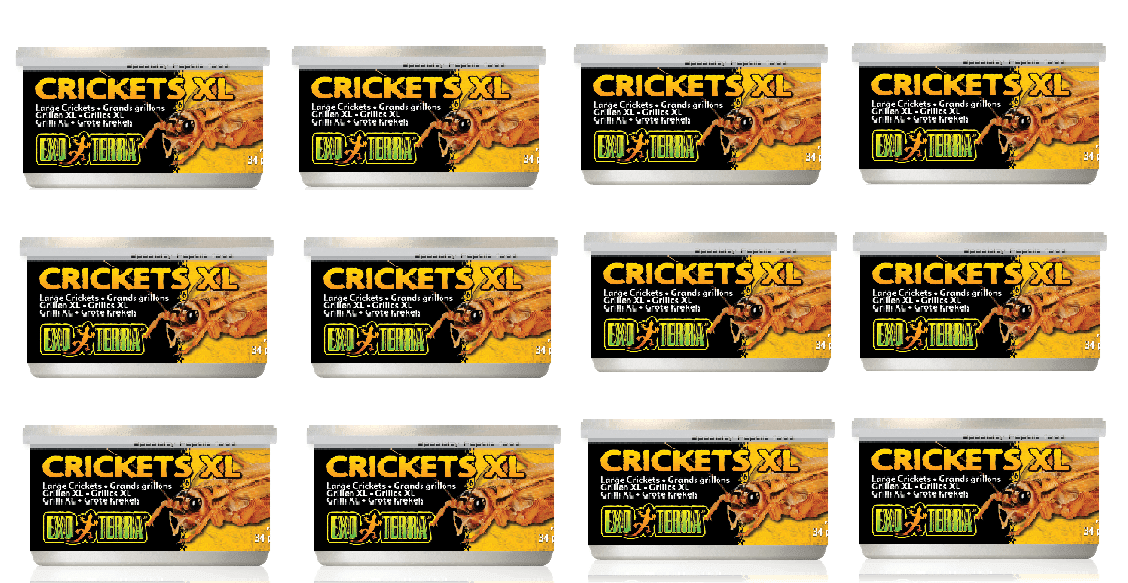 Exo Terra Canned Crickets XL Bulk (12)