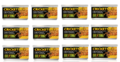 Exo Terra Canned Crickets XL Bulk (12)