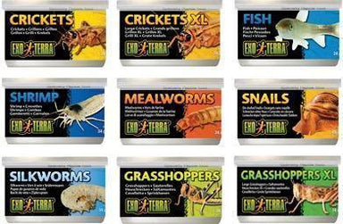 Exo Terra Canned Crickets XL