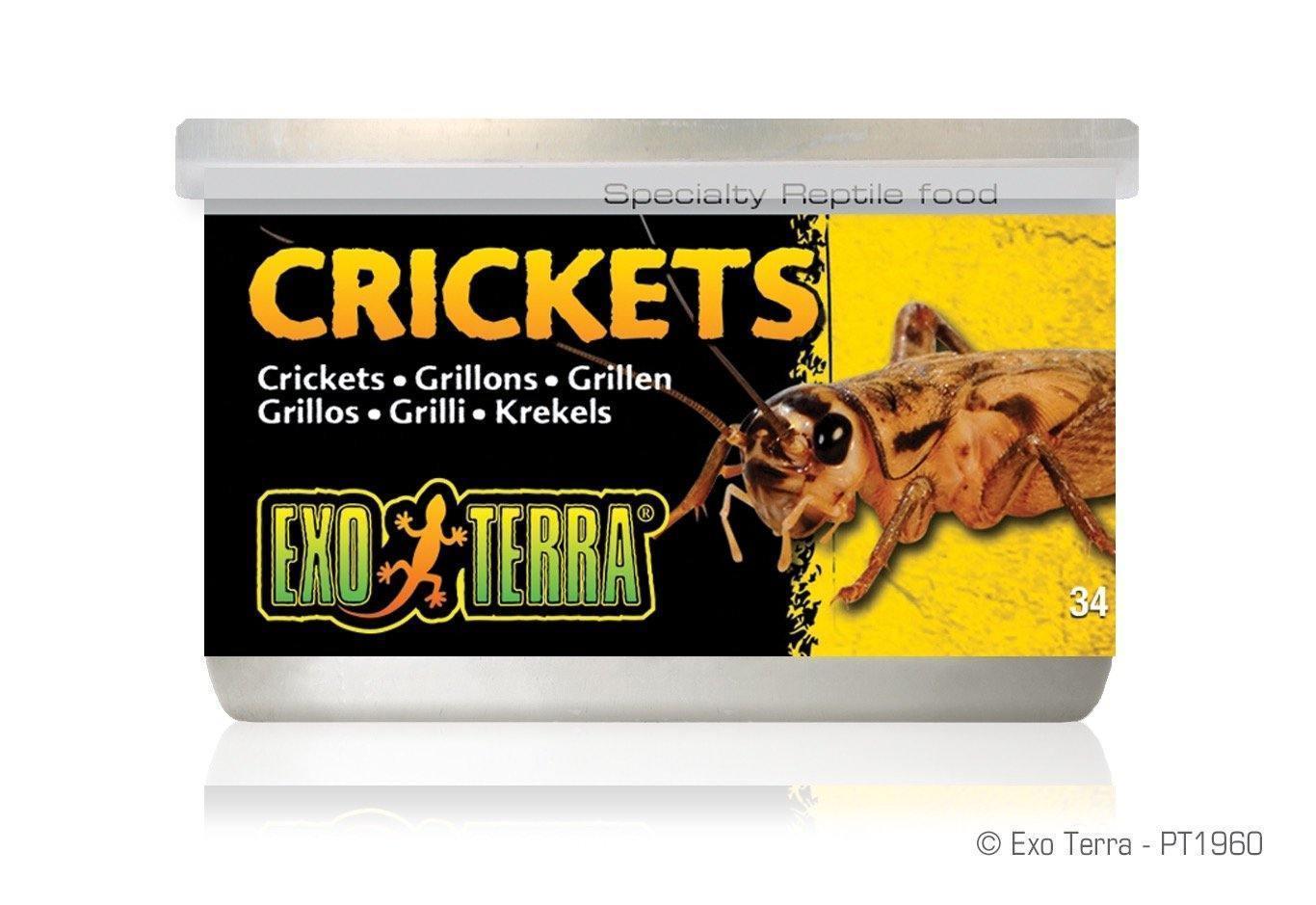 Exo Terra Canned Crickets