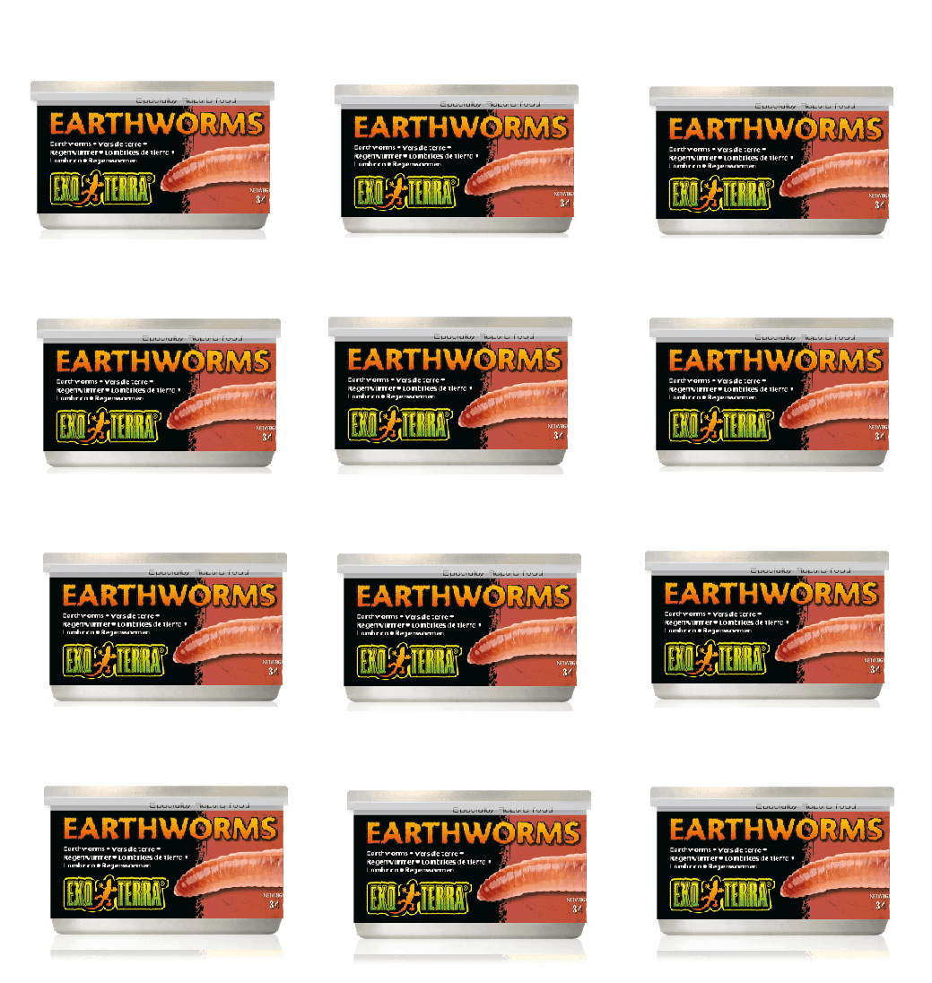 Exo Terra Canned Earthworms Bulk (12)