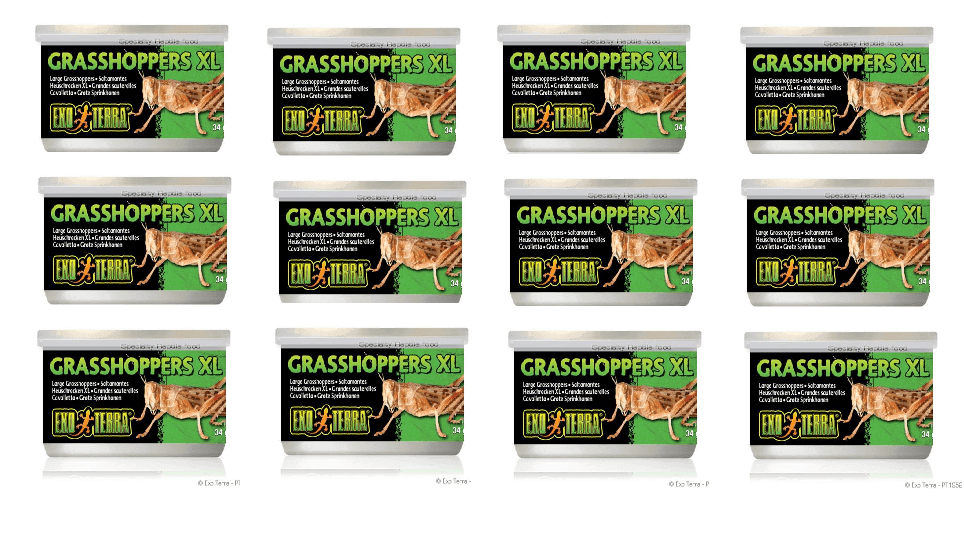 Exo Terra Canned Grasshopper XL Bulk (12)