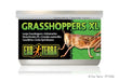 Exo Terra Canned Grasshopper XL
