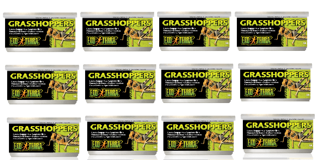 Exo Terra Canned Grasshoppers Bulk (12)
