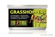 Exo Terra Canned Grasshoppers Bulk (12)