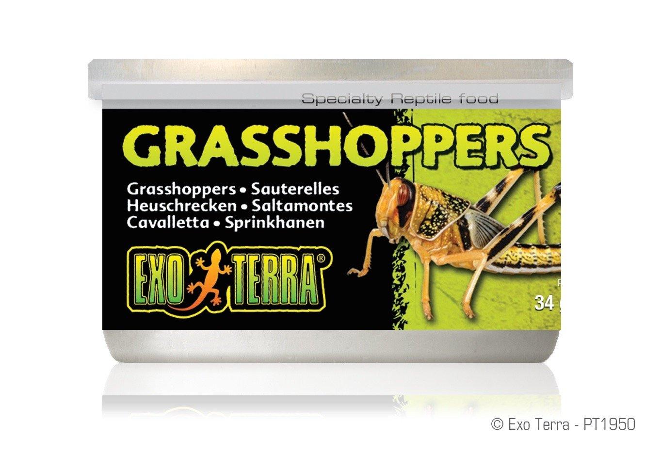 Exo Terra Canned Grasshoppers Bulk (12)