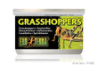 Exo Terra Canned Grasshoppers