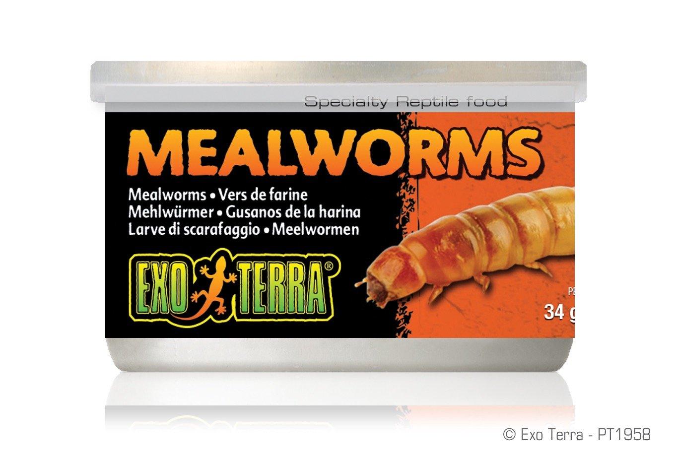 Exo Terra Canned Mealworms Bulk (12)