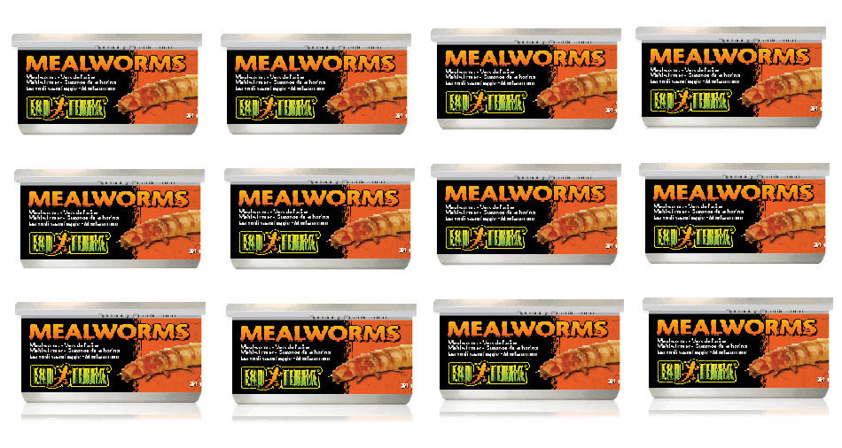 Exo Terra Canned Mealworms Bulk (12)