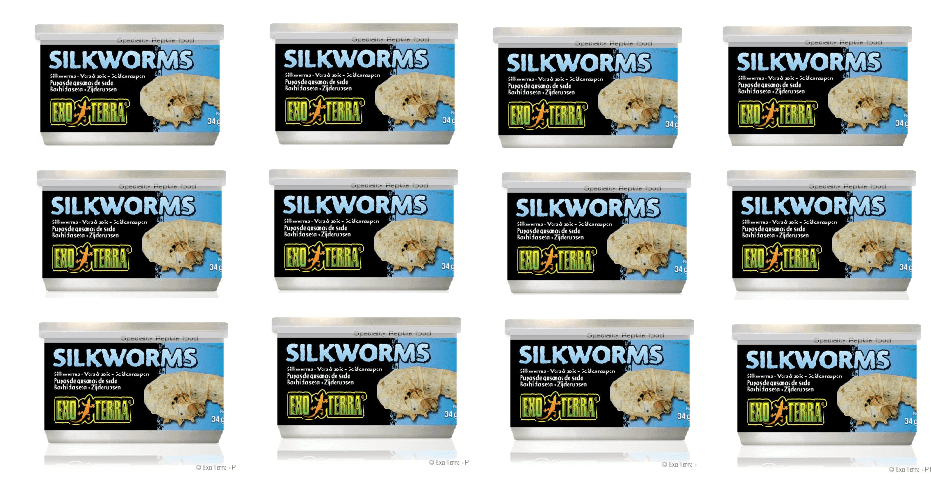 Exo Terra Canned Silkworms Bulk (12)