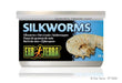 Exo Terra Canned Silkworms Bulk (12)