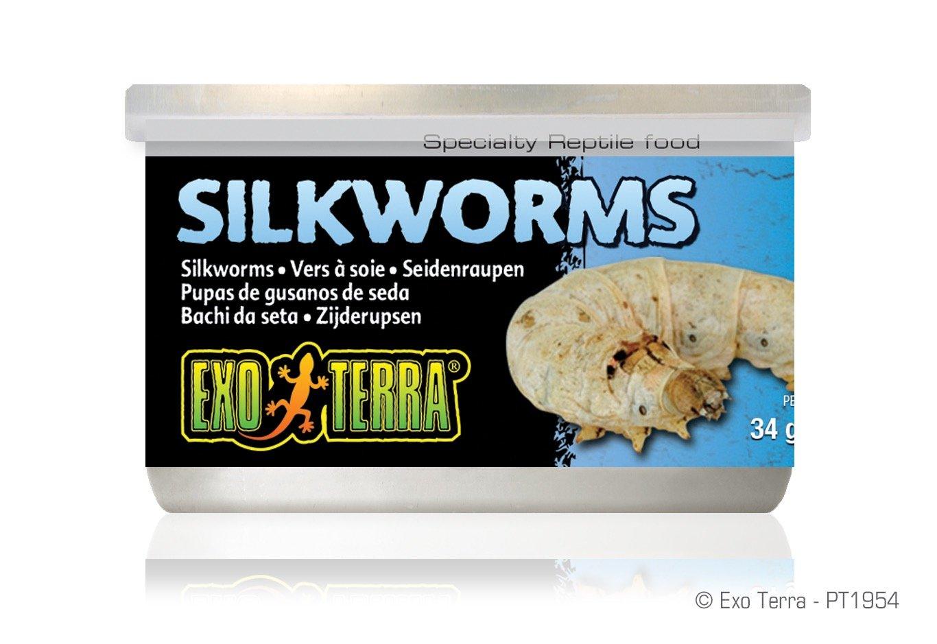 Exo Terra Canned Silkworms Bulk (12)