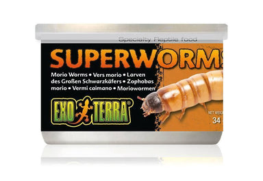Exo Terra Canned Superworms Bulk (12)