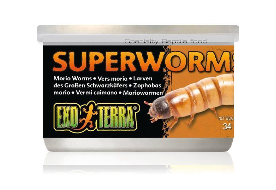 Exo Terra Canned Superworms