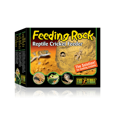 Exo Terra Cricket Feeding Rock