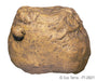 Exo Terra Cricket Feeding Rock