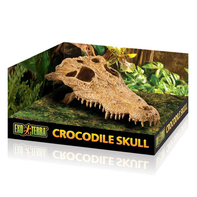 Exo Terra Crocodile Skull