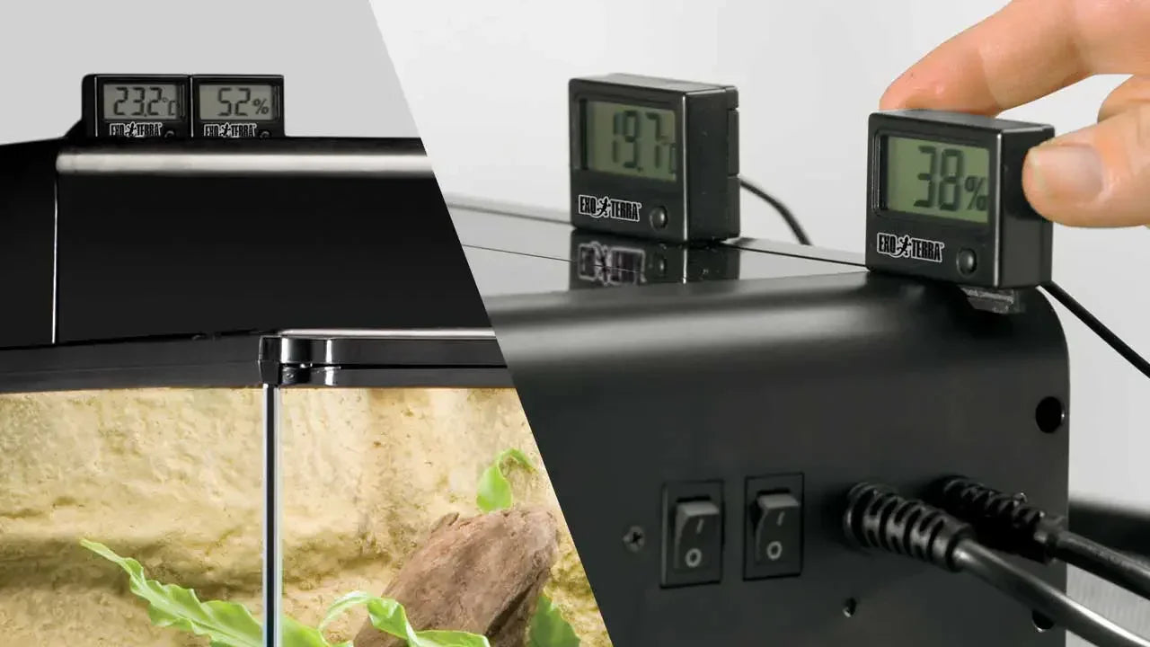 Exo Terra Digital Thermometer & Hygrometer Combo