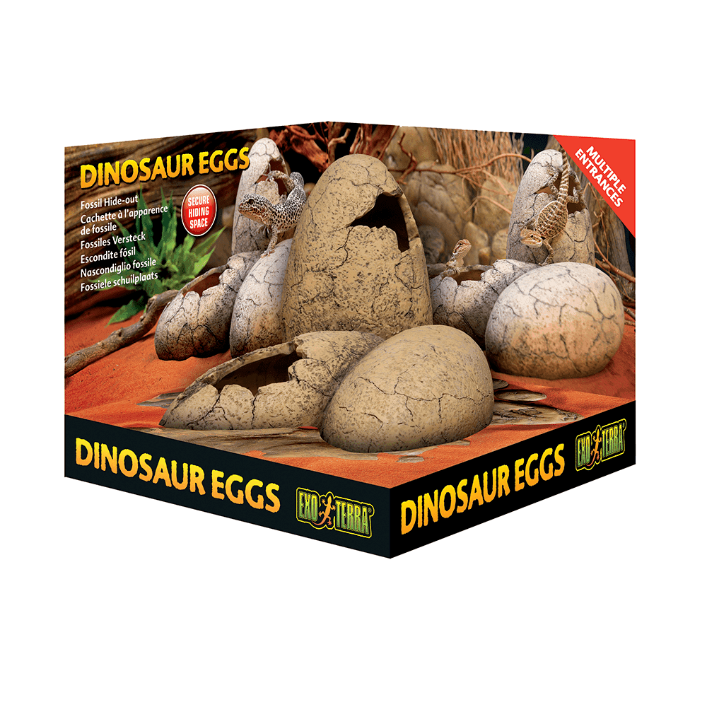 Exo Terra Dinosaur Eggs Fossil Hide Out