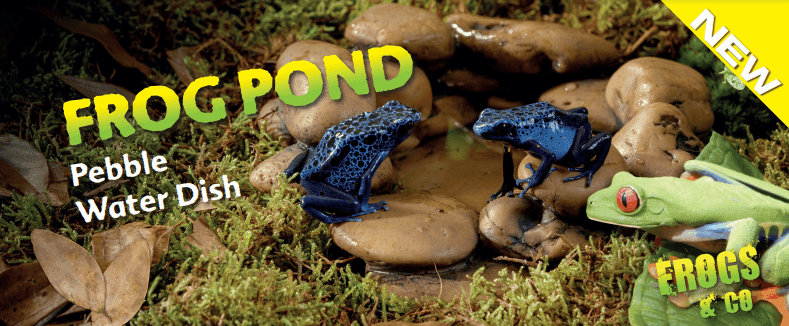 Exo Terra Frog Pond Small