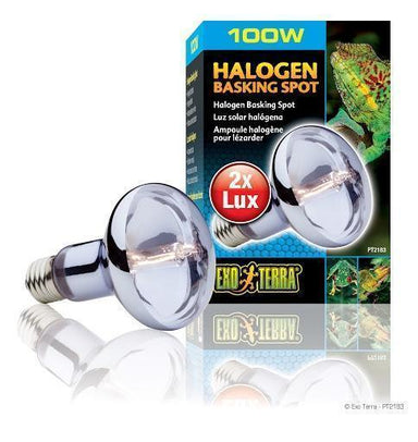 Exo Terra Halogen Basking Lamp 100w
