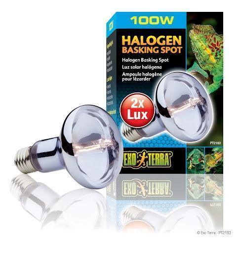 Exo Terra Halogen Basking Lamp 100w