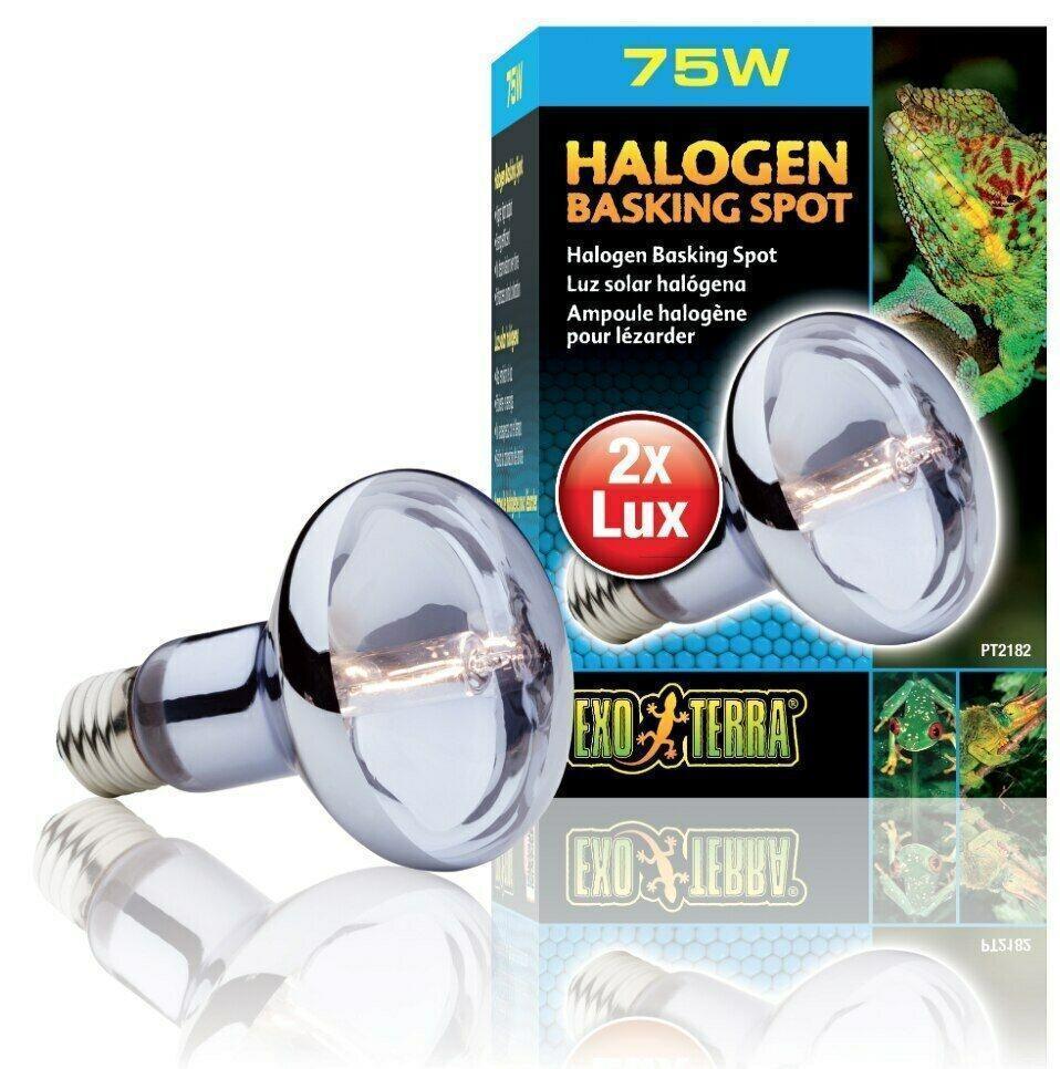 Exo Terra Halogen Basking Lamp 75w