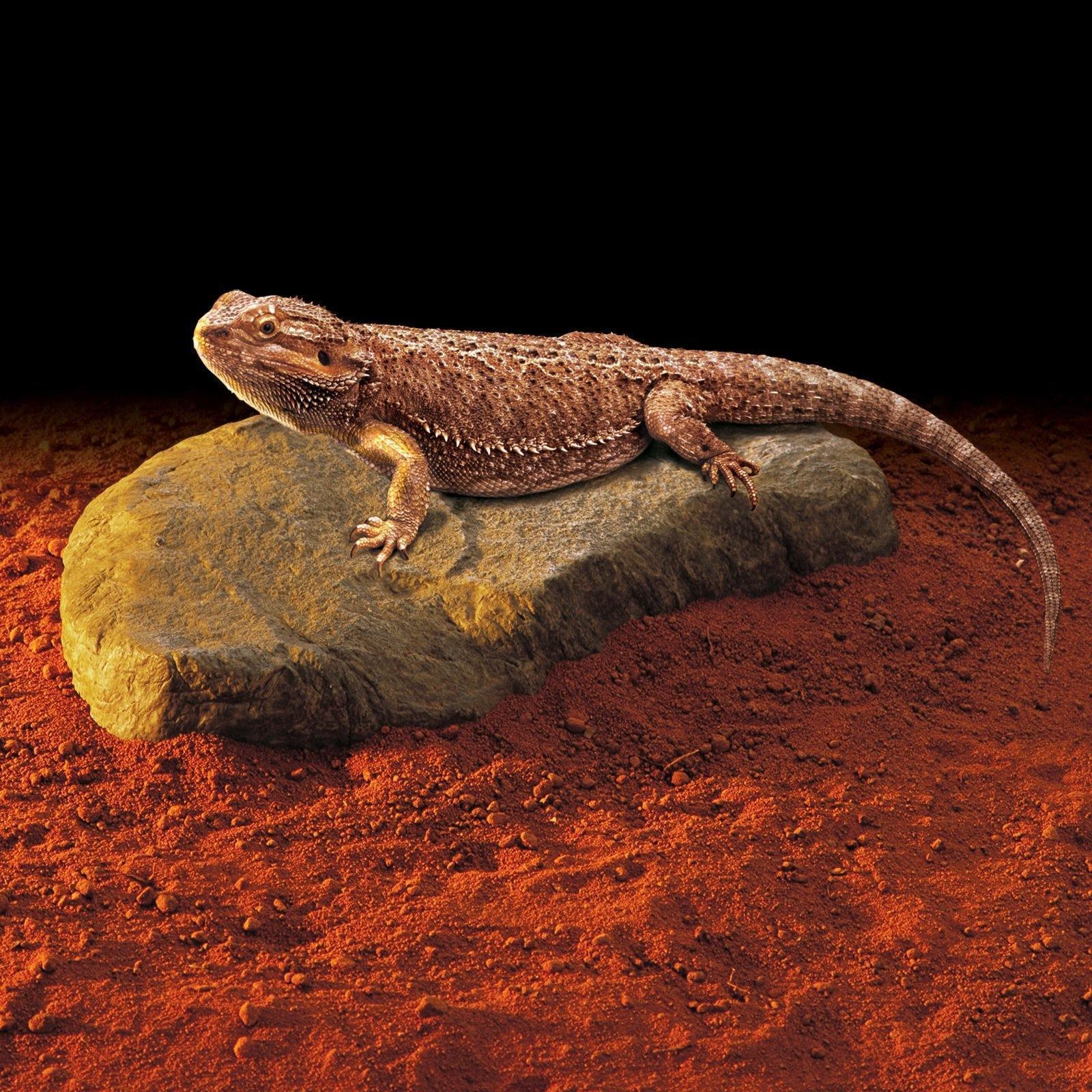 Exo Terra Heat Wave Rock Small