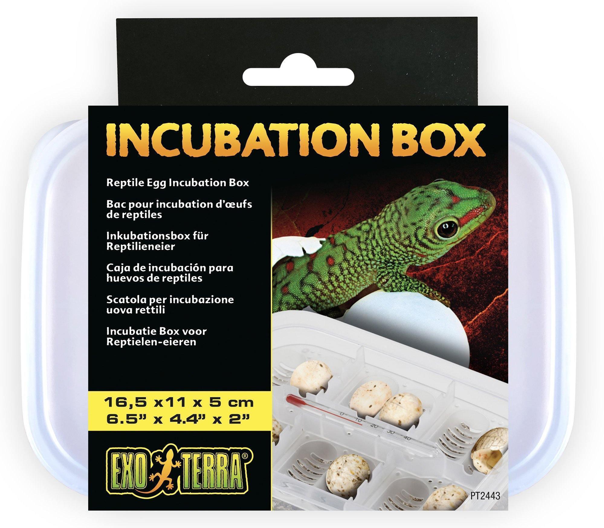 Exo Terra Incubation Box