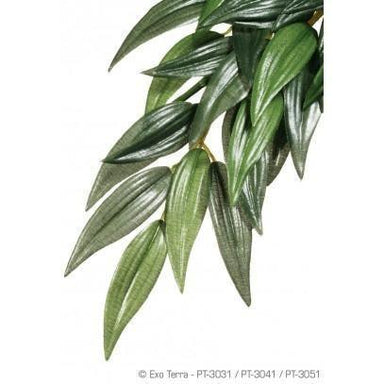 Exo Terra Jungle Plants Ruscus Large