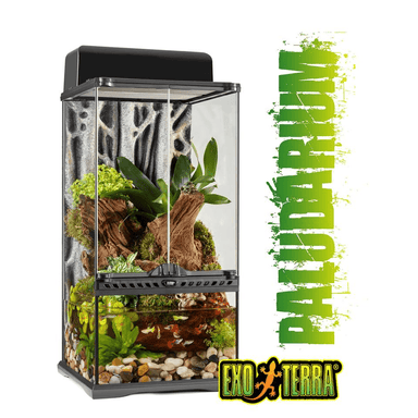 Exo Terra Paludarium Terrarium 30x30x60cm